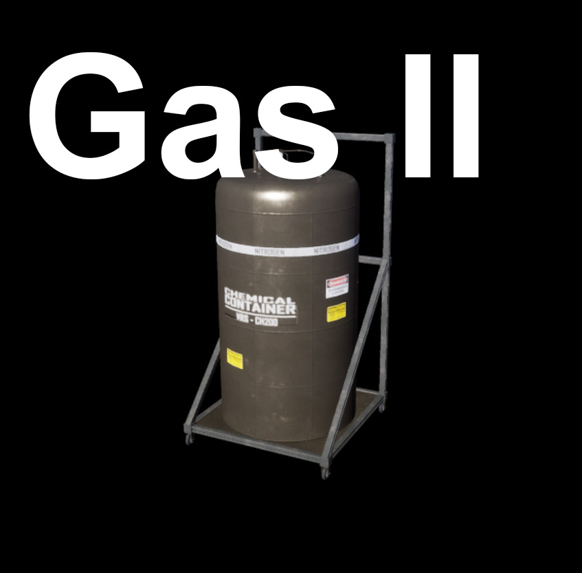 GAS T2